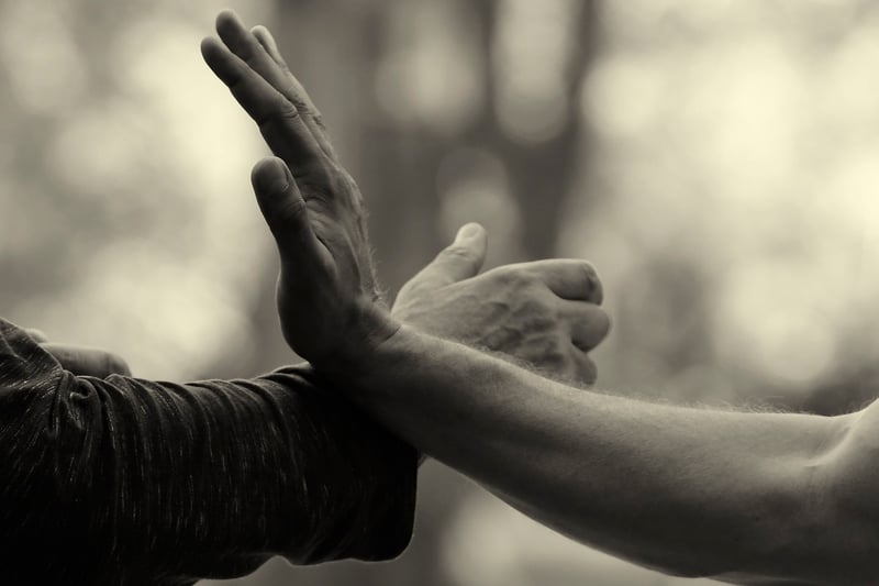 Wu Style Tai Chi